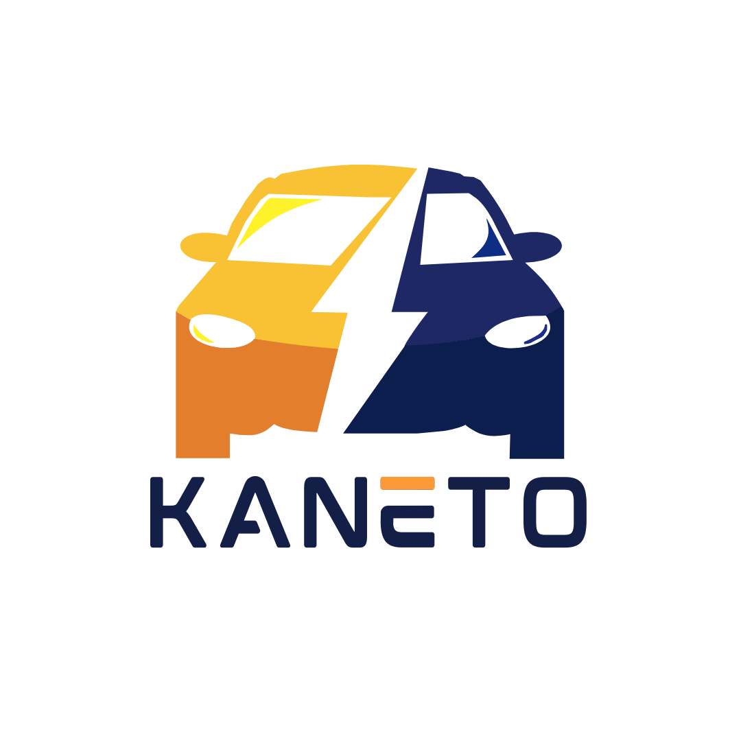 KANETO Auto Eletrico